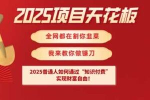 2025项目天花板普通人如何通过知识付费，实现财F自由【揭秘】