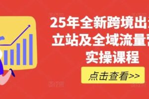 25年全新跨境出海独立站及全域流量营销实操课程，跨境电商独立站TIKTOK全域营销普货特货玩法大全