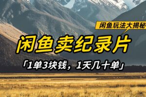 闲鱼卖纪录片，简单又赚钱的小项目，1单3块钱  1天几十单