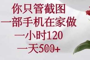 你只管截图，一部手机在家做，苹果安卓都可以，一小时120，一天5张+【揭秘】