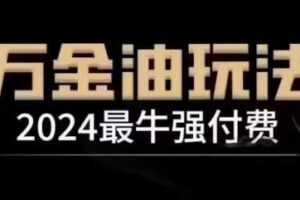 2024最牛强付费，万金油强付费玩法，干货满满，全程实操起飞（更新25年04月）