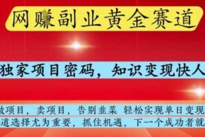 网创副业黄全赛道，掌握独家项目密码，知识变现快人一步，告别韭菜轻松实现单日变现1k+【揭秘】