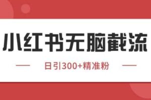 小红书只要你有同行就能获客，独家野路子获客玩法，暴力截流【揭秘】