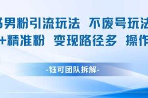 小红书男粉引流玩法不废号玩法日引100男粉变现路径多操作简单