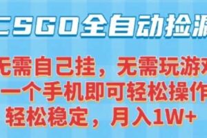 CSGO自动捡漏项目，最新独家玩法，一个手机可操作，新手小白轻松月入1W+，操作简单易上手【揭秘】