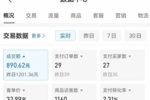 2025版多多冷门虚拟U盘项目玩法，单店铺月变现1w+，稳赚不赔！