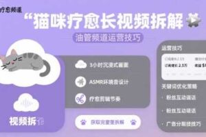 猫咪疗愈长视频拆解 &油管频道运营技巧