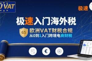 极速入门海外税，欧洲VAT财税合规，从0到1入门跨境电商财税