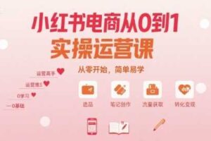 小红书电商从0到1实操运营课，从零开始，简单易学