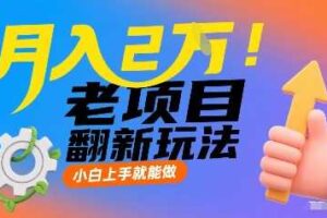 月入2W！老项目翻新玩法，小白上手就能做，非常容易上手