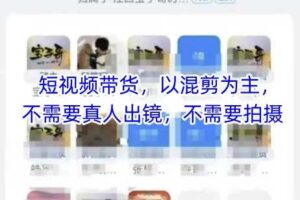 宝子哥头部团队短视频带货,以混剪为主,不需要真人出镜,不需要拍摄【更新9月】