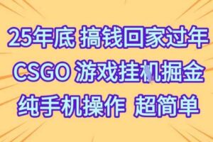 25年底搞钱回家过年,CSGO游戏挂G掘金,纯手机操作超简单【揭秘】