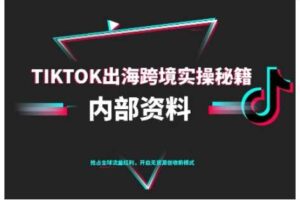 TikTok跨境电商0-1搭建运营，TK出海跨境实操秘籍（10月更新）