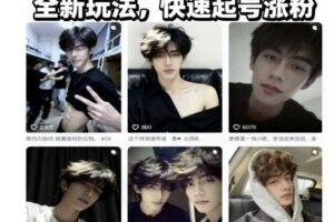 AI男颜涨粉短视频教学,全新玩法,快速起号涨粉