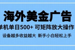最新蓝海市场,海外美金广告,单设备500+,矩阵放大操作,设备越多收益越大