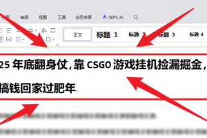 25年底翻身仗,靠CSGO游戏挂机捡漏掘金,搞钱回家过肥年