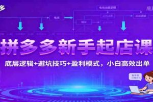 拼多多新手起店课:底层逻辑+避坑技巧+盈利模式,小白高效出单