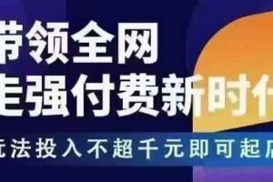 王校长拼多多无限活动流，带领全网走强付费新时代，玩法投入不超千元即可起店