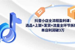 (16593期)抖音小店全流程盈利课:选品+上架+发货+流量全环节拆解,单店利润破3万
