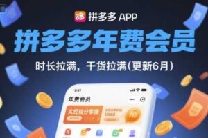 拼多多年费会员,实经验分享操,时长拉满,干货拉满(更新12月)