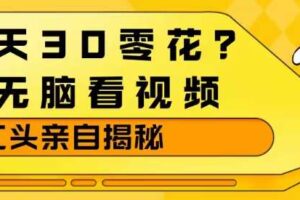 1天30零花?无脑看视频,大佬亲自揭秘