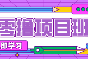 一个长期去深耕，坚持去做就有被动收入的项目，实测每天2小时轻松收益100+