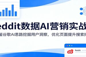Reddit数据AI营销实战课：借鉴谷歌AI思路挖掘用户洞察，优化页面提升搜索排名