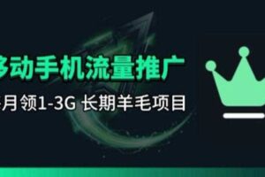 手机流量领取推广_每月一轮,刚需类的长期项目