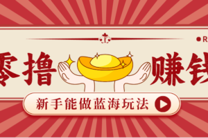 新手也能变现的蓝海玩法，一个人人能做的项目，需求量极大日入300+！