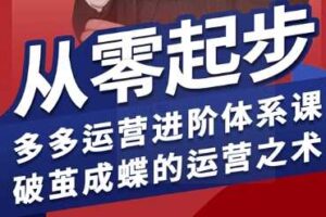 拼多多运营进阶系统课，从零起步，多多运营进阶体系课，破茧成蝶的运营之术（更新26年4月）