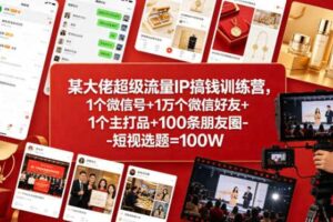 某大佬超级流量IP搞钱训练营，1个微信号+1万个微信好友+1个主打品+100条朋友圈-短视选题=100W