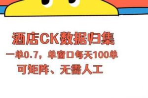 上班也能玩的酒店CK数据归集，一单0.7单窗口每天可做100单，一个人就能矩阵操作【揭秘】
