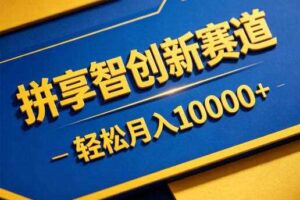 拼享智创新赛道,轻松月入1W+,门槛极低、收益稳定、可长期放大的轻资产项目【揭秘】