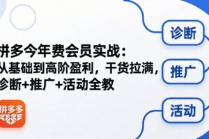 （18467期）拼多多年费会员实战(更新26年5月15)：从基础到高阶盈利，干货拉满，诊断+推广+活动全教