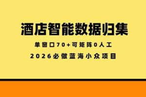 (18500期)酒店智能数据归集,小众蓝海已经稳定半年之久,单窗口70+零成本矩阵开干
